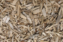 biomass boilers Llanishen